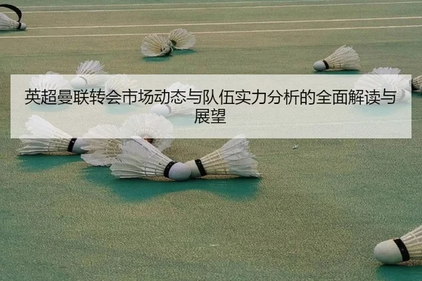 英超曼联转会市场动态与队伍实力分析的全面解读与展望